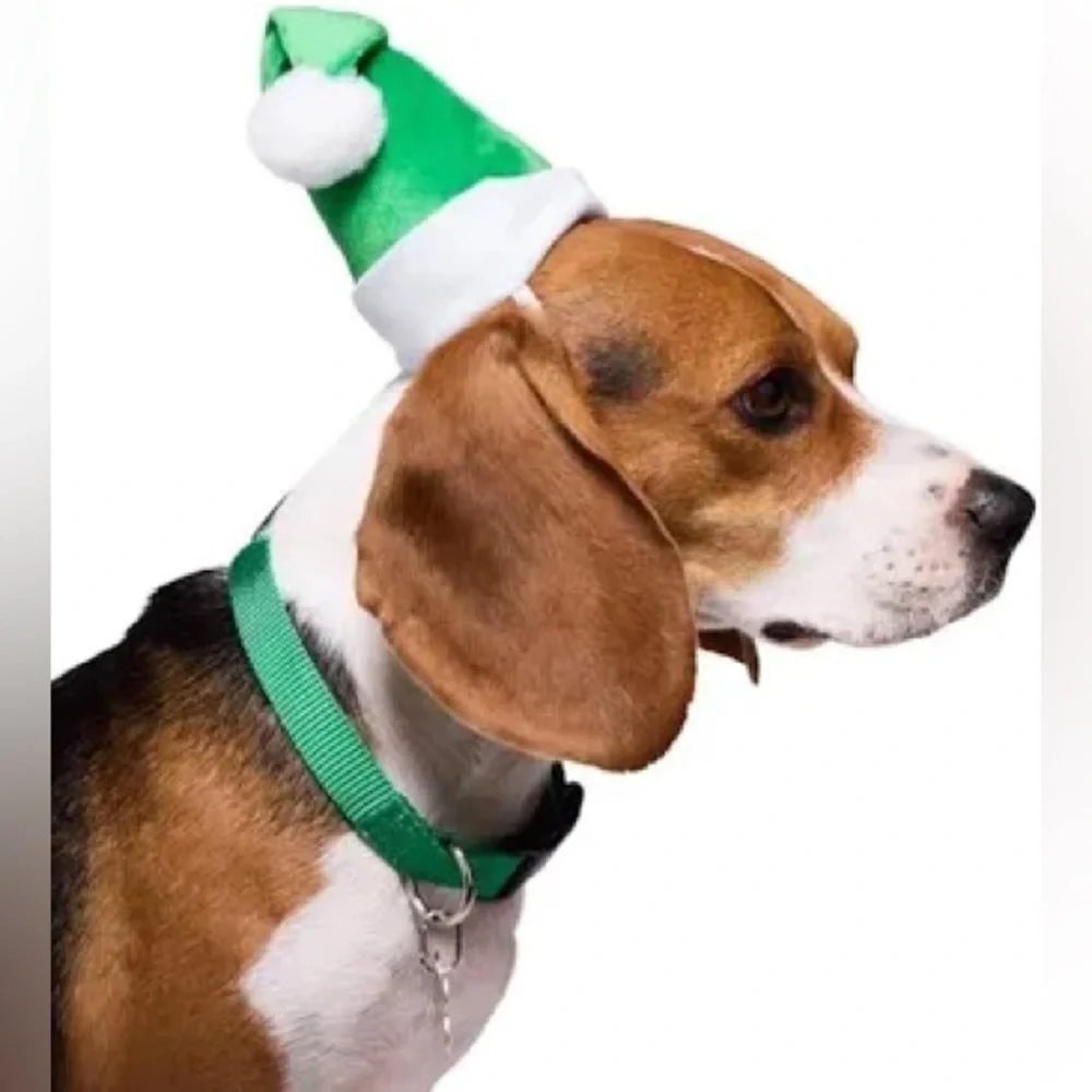 Merry Makings Green Santa Hat for Cats and Dogs, Large/X-Large